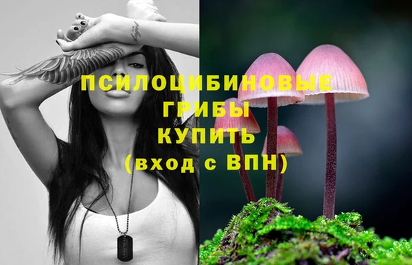 ALPHA PVP Богородск